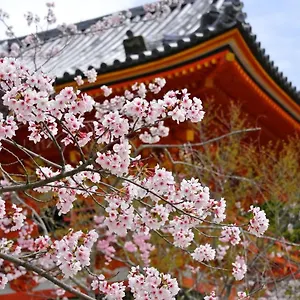 公寓式酒店 Sakura 祇園北, 京都